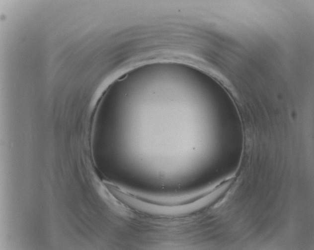 X0000074321530200609081954