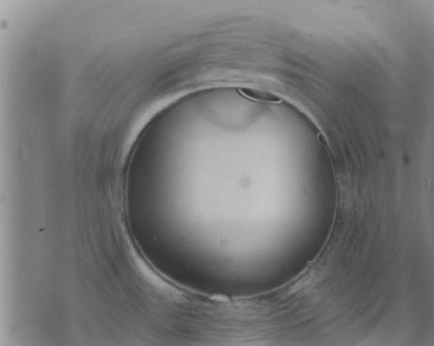 X0000074321531200609081954