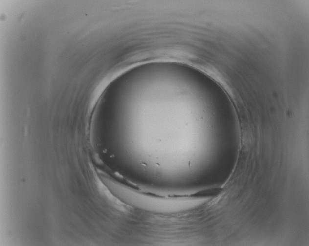 X0000074321532200609081954