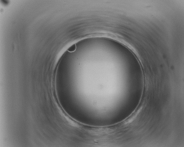 X0000074321533200609081954