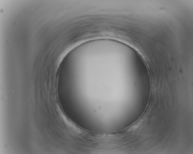 X0000074321534200609081954