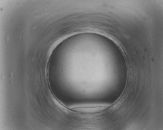 X0000074321535200609081954