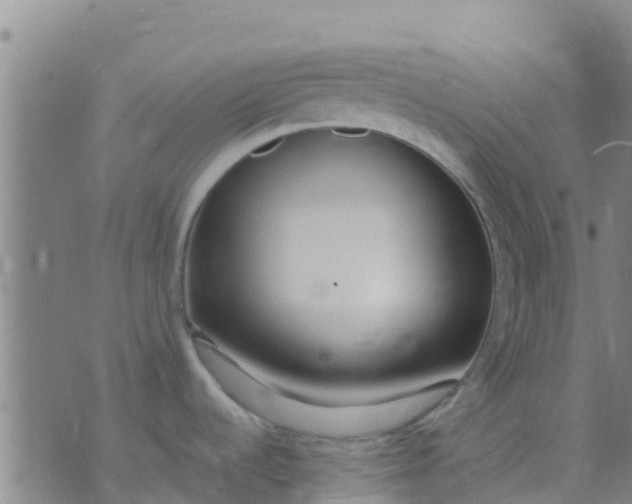 X0000074321536200609081954