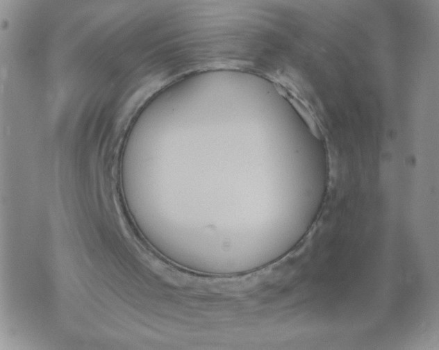 X0000074320001200609152043