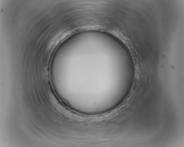 X0000074320002200609152043