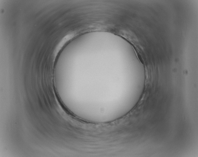 X0000074320003200609152043