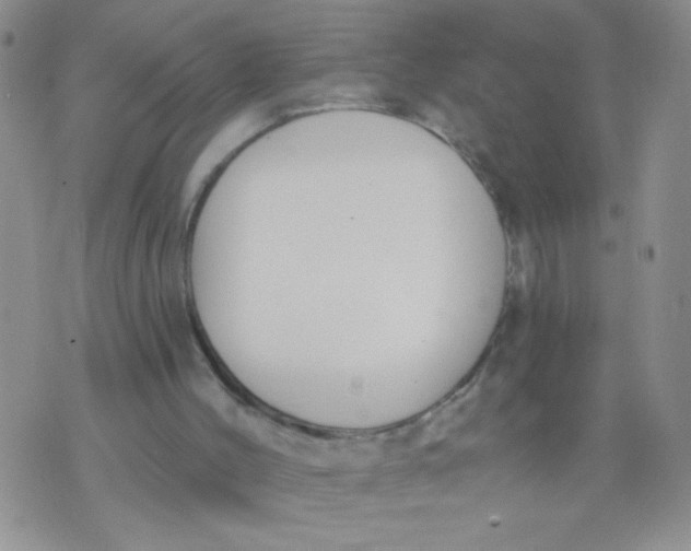 X0000074320004200609152043