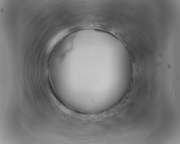 X0000074320005200609152043