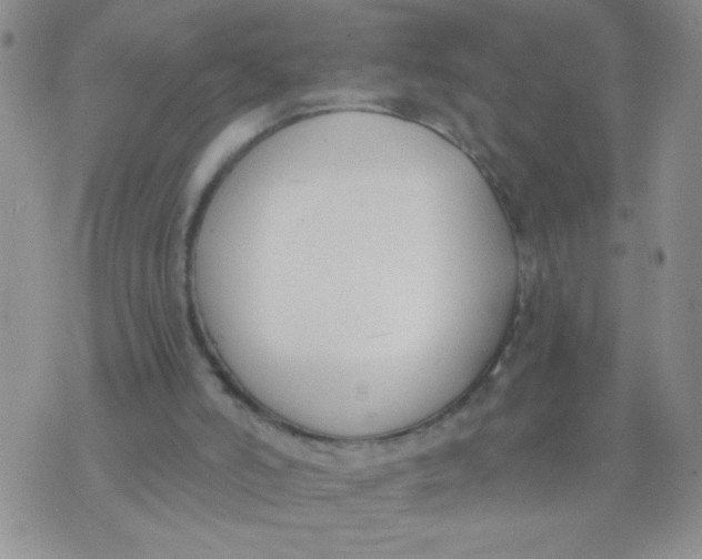 X0000074320006200609152043