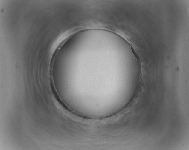 X0000074320007200609152043