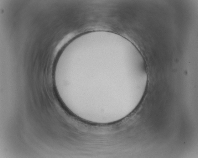 X0000074320008200609152043