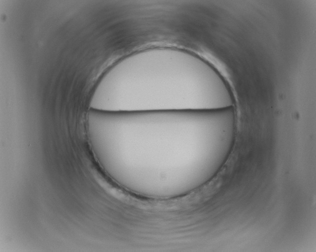 X0000074320009200609152043