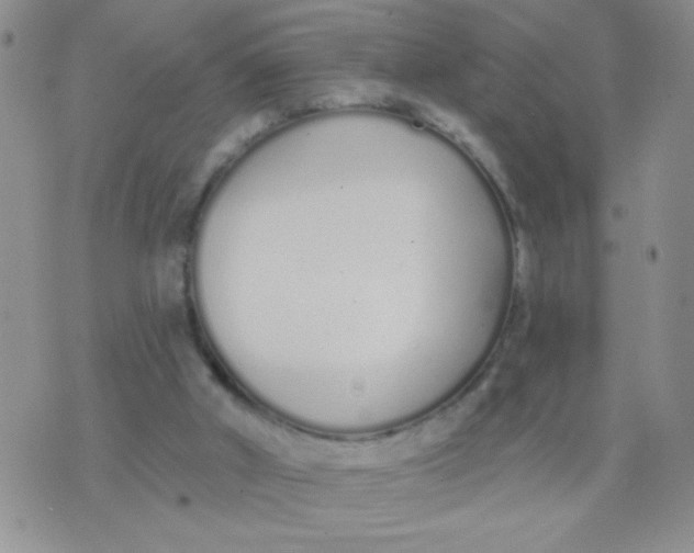 X0000074320010200609152043