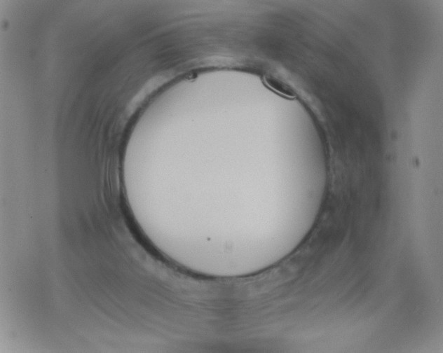 X0000074320011200609152043