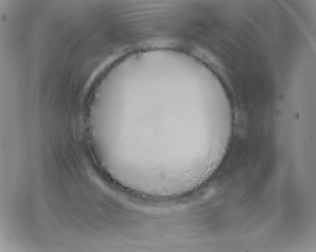 X0000074320012200609152043