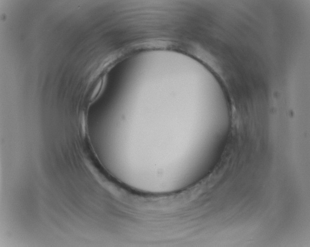 X0000074320013200609152043