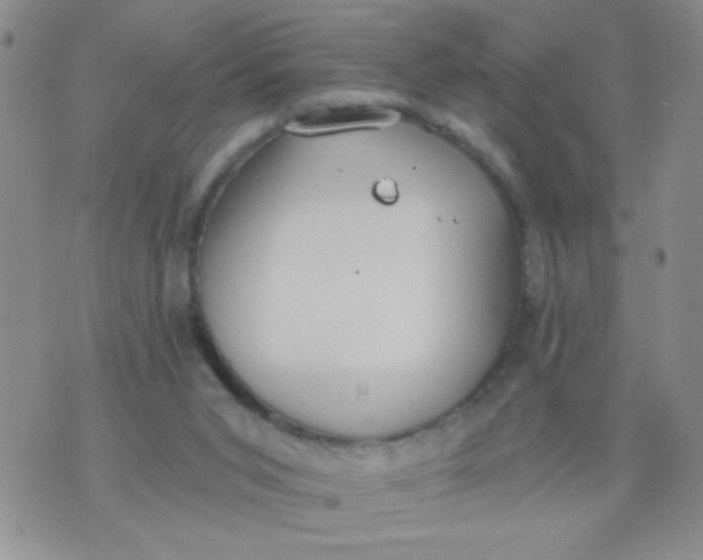 X0000074320015200609152043