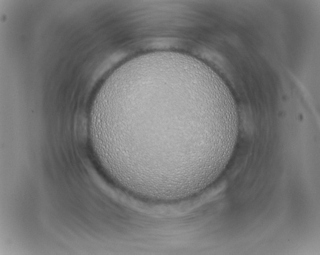 X0000074320016200609152043