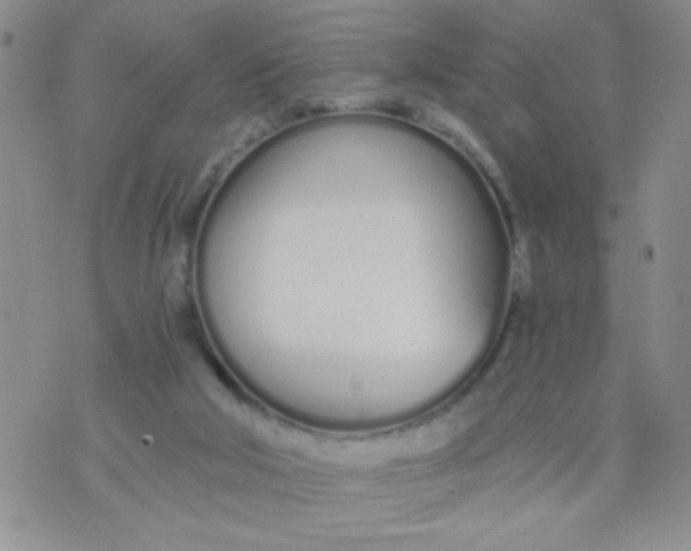 X0000074320018200609152043