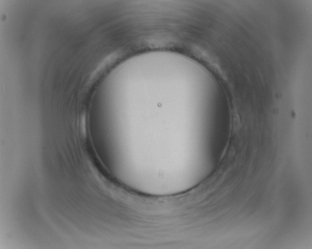 X0000074320019200609152043