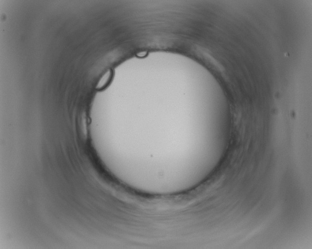 X0000074320020200609152043