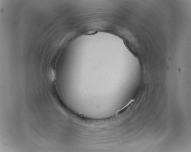 X0000074320021200609152043