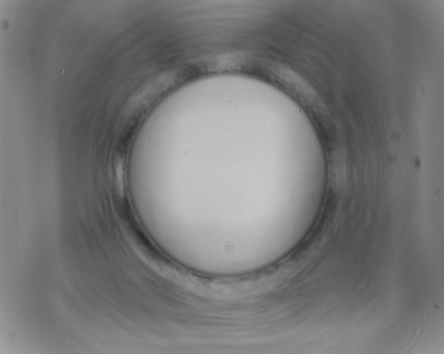 X0000074320022200609152043