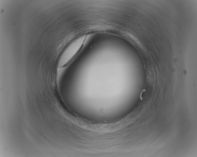 X0000074320023200609152043