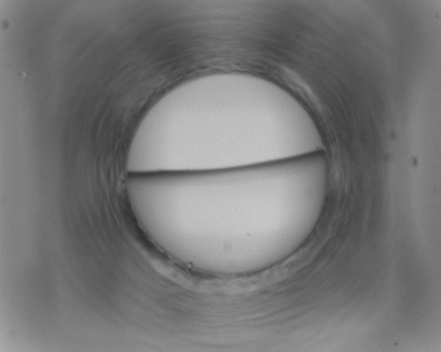 X0000074320025200609152043