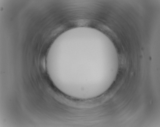 X0000074320028200609152043