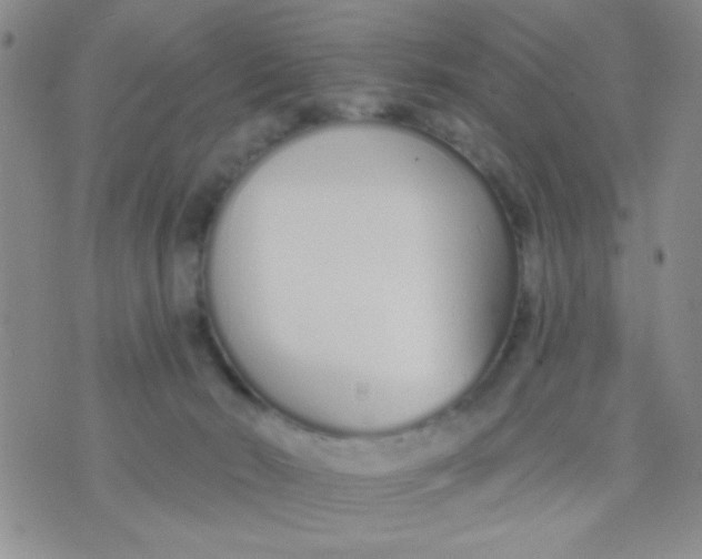 X0000074320030200609152043