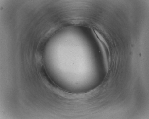 X0000074320031200609152043