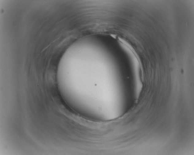 X0000074320035200609152043