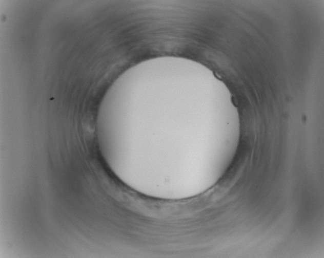 X0000074320040200609152043