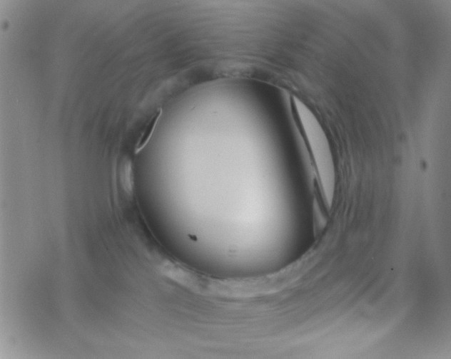 X0000074320041200609152043