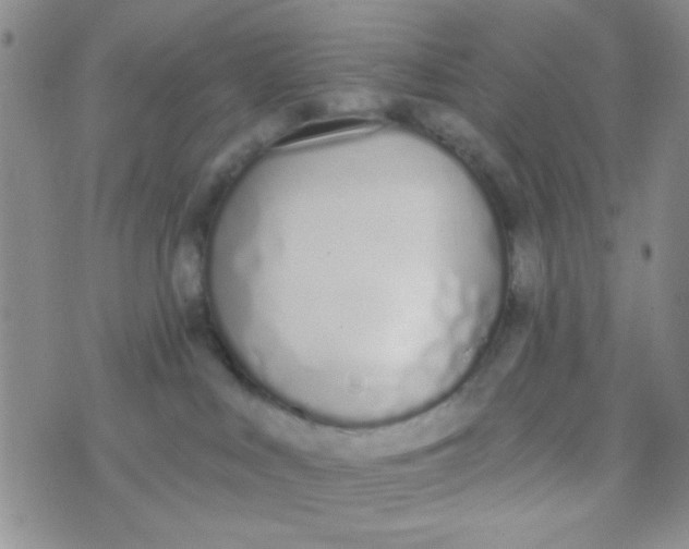 X0000074320043200609152043