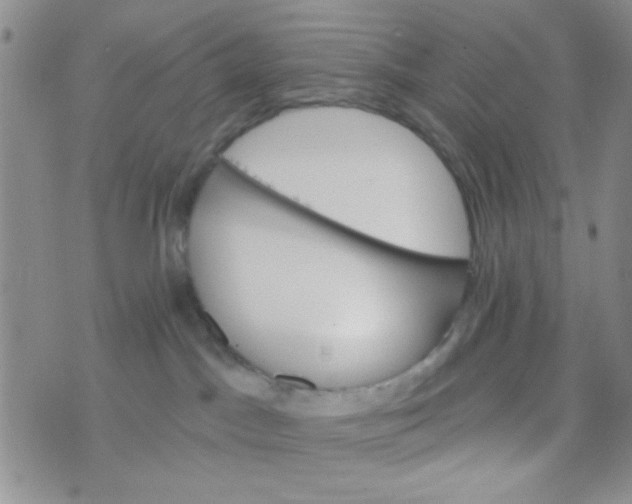 X0000074320045200609152043