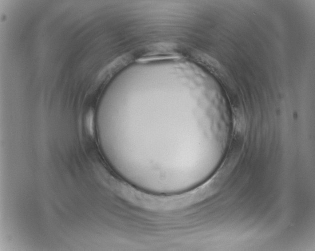 X0000074320047200609152043