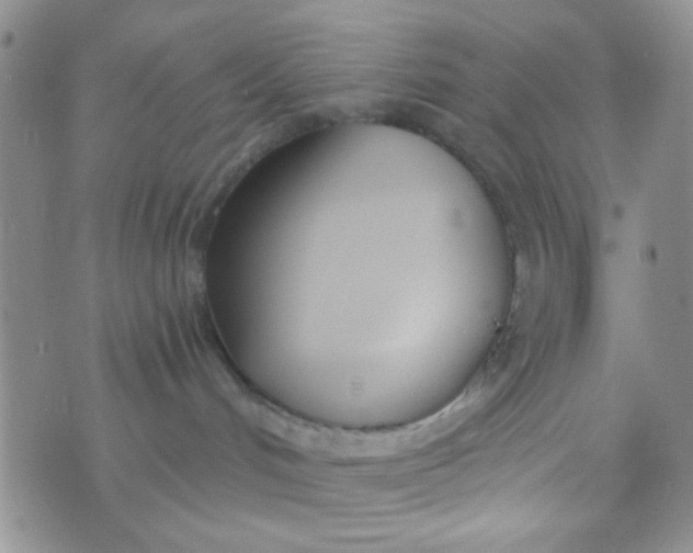 X0000074320048200609152043