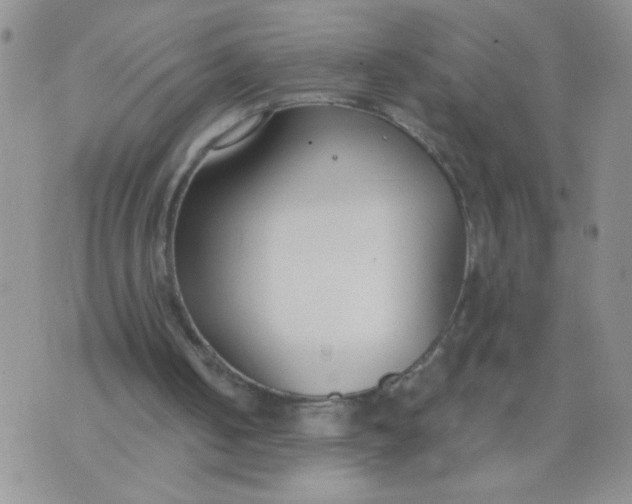 X0000074320050200609152042