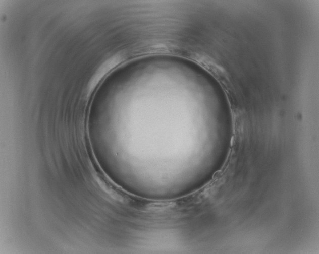 X0000074320051200609152042