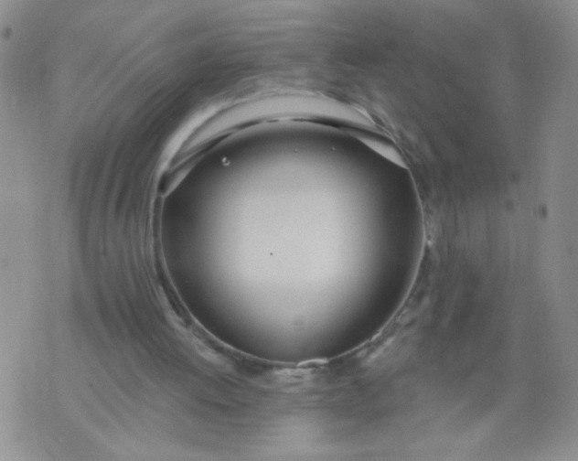 X0000074320052200609152042