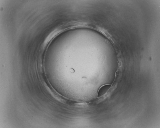 X0000074320053200609152042