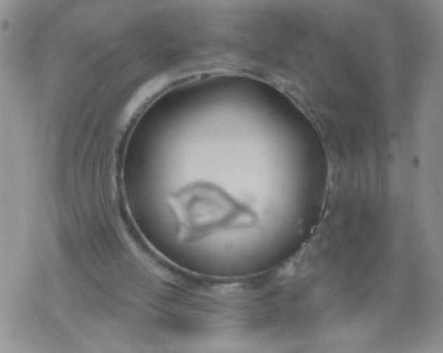 X0000074320054200609152042