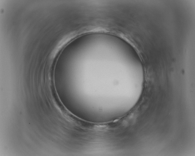 X0000074320055200609152042