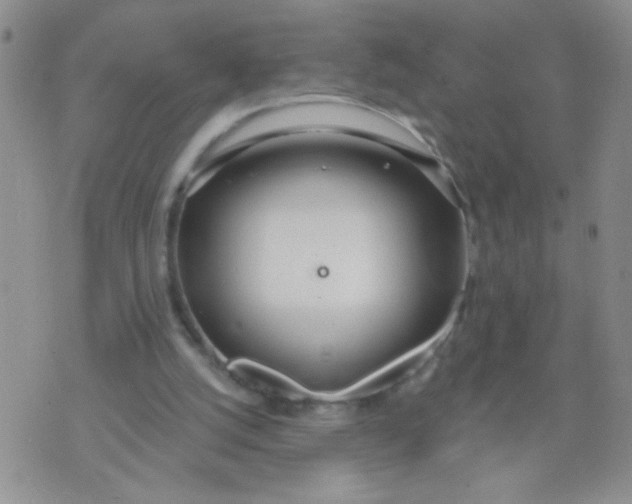 X0000074320056200609152042