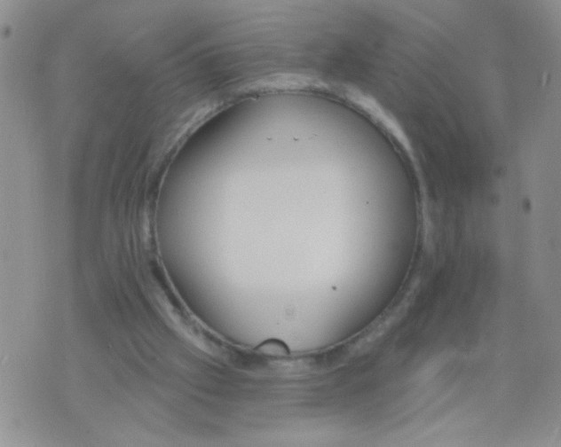 X0000074320057200609152042