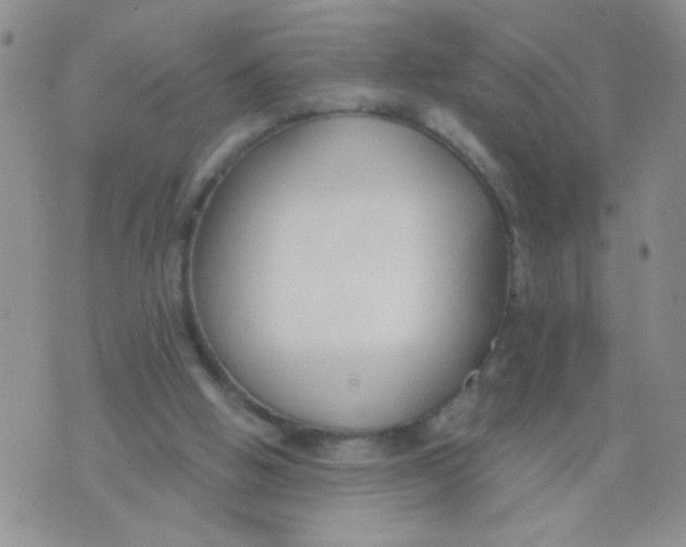 X0000074320058200609152042