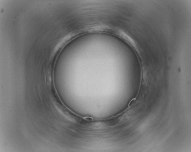 X0000074320059200609152042