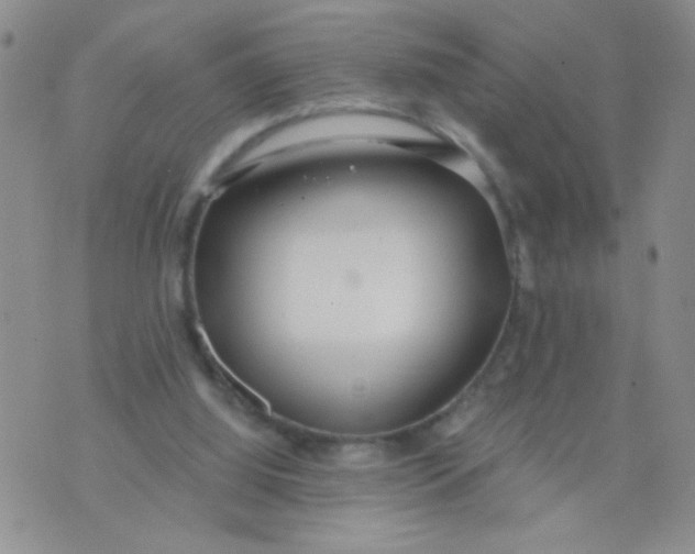 X0000074320060200609152042